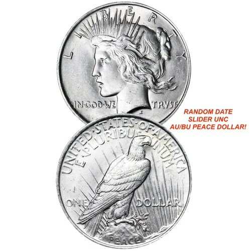 ランダム日付ピース シルバー ダラー スライダー UNC AU/BU 美しいコイン! スタック シルバー!!