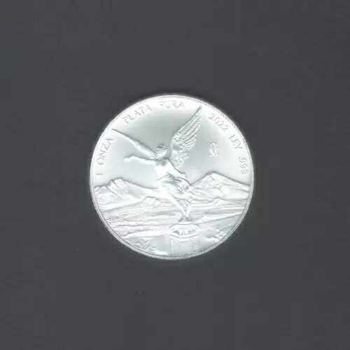 WORLD RESOURCEKINGŹۤ㤨2022ǯᥭ ٥륿å С BU .999 餷ǤפβǤʤ61,600ߤˤʤޤ