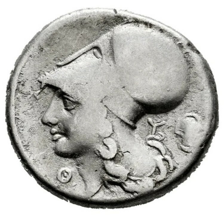 ꥷ - ʥ˥ƥ쥦ʵ320ǯ - 280ǯ˥ƥ/ڥζƥʾ