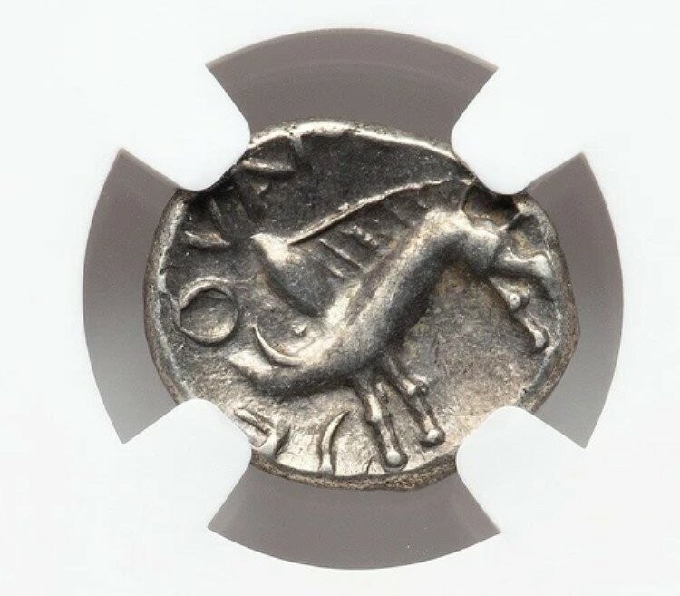 NGC認定 クィナリウス銀貨 古代ケルトガリア猪チョイスファイン 紀元前1年