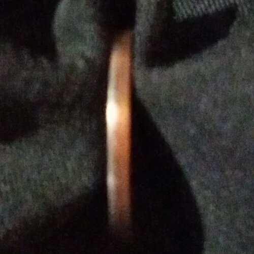 2023年 -P ルーズベルト ダイム ? ブロ