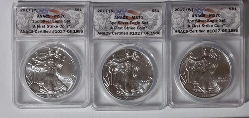 2017 P. S. W. シルバーイーグル コンプ