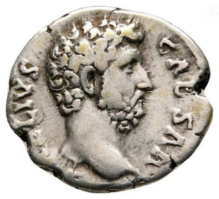  - ꥦ ( 136  138 ǯ)ǥʥꥦǥʥꥦޡ 136  138 ǯ С 3.1 g쥢