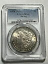 1878年 7/8TF モルガン銀貨 PCGS MS62 ストロングブラストホワイトタフ バラエティ