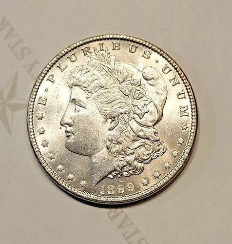 祤1899-P륬ߡäۤ - C9608