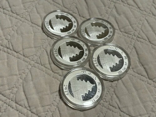 2019年中国シルバーパンダ