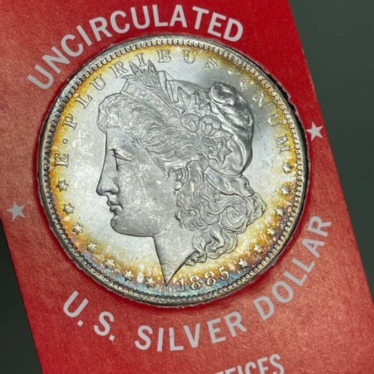 1885-O 1ドル アメリカ貯蓄貸付組合 未流通 アメリカ合衆国 シルバードル トーンコイン