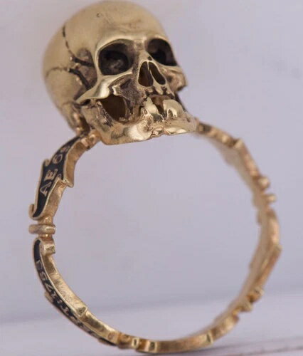 ƥ ӥȥꥢī   ȡ 󥷥С ֥åʥ