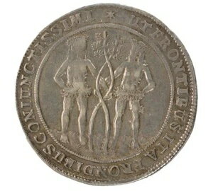 ブラウンシュヴァイク ヴォルフェンビュッテル、ターラー、1689 年、28.83 グラム、第 2 ワイルド マナ..