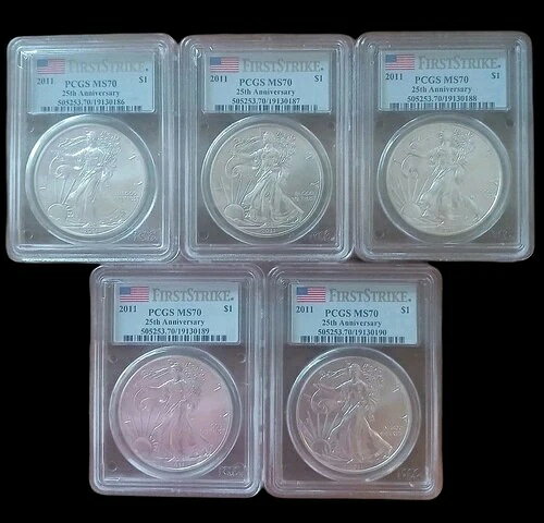 2011年 アメリカン シルバー イーグ