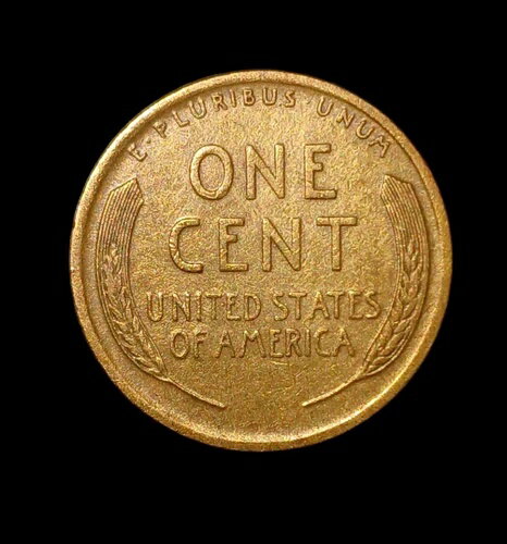 WORLD RESOURCE【KING店】の1926-P ウィートセント MS｜アングル2