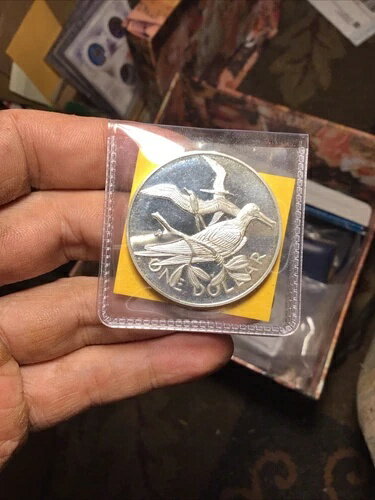1973年 プルーフ銀貨 イギリス領ヴァージン諸島 1ドル硬貨(3)