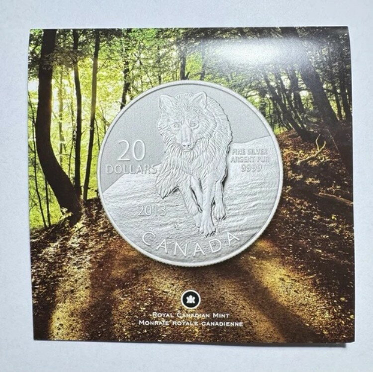 2013年カナダ20ドル - エリザベス2世銀貨