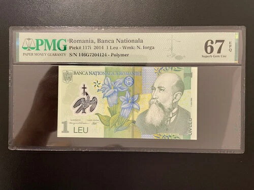 WORLD RESOURCEKINGŹۤ㤨֥롼ޥ˥ 1 leu 2014 ԥå 117i pmg 67פβǤʤ60,500ߤˤʤޤ