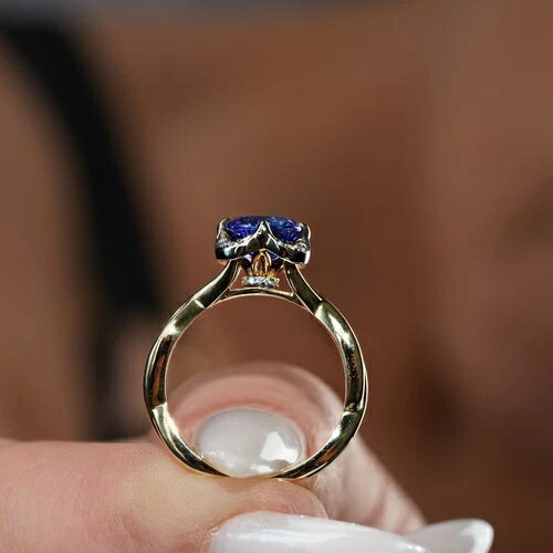 ѥɥ󥰡󥶥ʥȥ󥰡ɥ󥰡lnl奨꡼ޥѥ