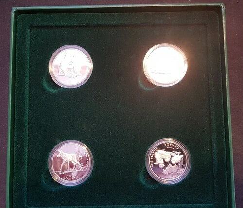 カナダ 4X 50セント 1996年 50セント 4枚セット リトルワイルドワンズ PP K 124451