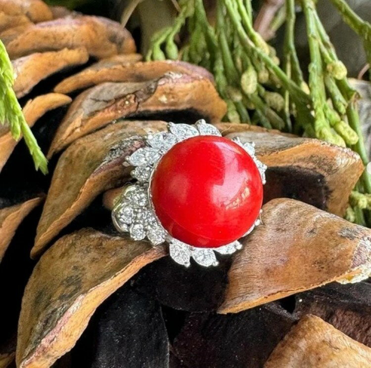 ơ ץ 12.10mm 롢0.81å  ϥ ե ƥ