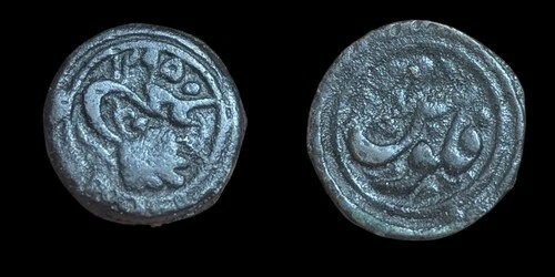 イスラム教アフガニスタン民間銅貨 AE FALUS バルフ AH1295 英国ライオン 希少品。