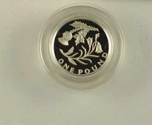 2014年 英国 国家の象徴 スコットランド 花柄 シルバー プルーフ 1ポンド コイン カプセル/コア