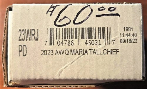 2023 AWQ ޥꥢȡ 23 WRJ PD 2륻å ̤ USߥȿ