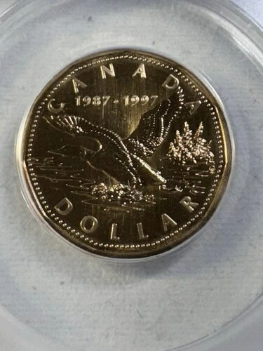 WORLD RESOURCEKINGŹۤ㤨1997ǯʥ10ǯǰץ롼ա롼ˡɥANACSˤ륰졼MS68פβǤʤ67,100ߤˤʤޤ