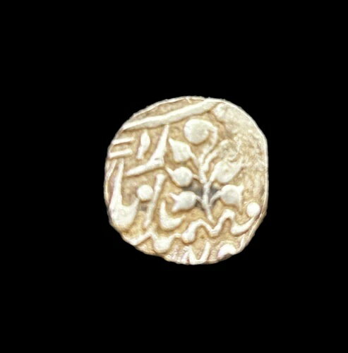  IPS 󥬥 1/2 ԡ 5.5  쥢