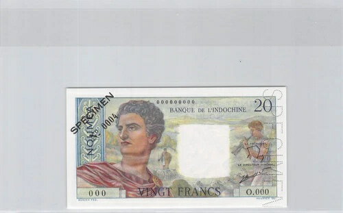 ˥塼ɥ˥ ̥ᥢ 20ե ɸ ND ԥå 50 C 