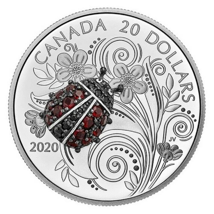 2020ǯ ƤȤ դ $20 1 ץ롼ե ʥ 