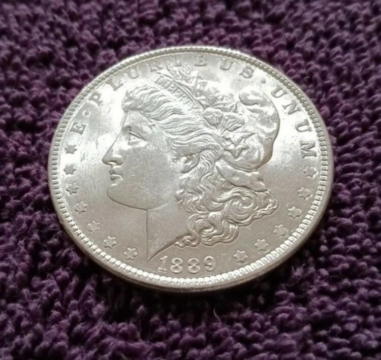 1889年モルガン・ダラー、セレクトブリリアントアンサーキュレート - 摩耗した金型からの良好な標本(3)