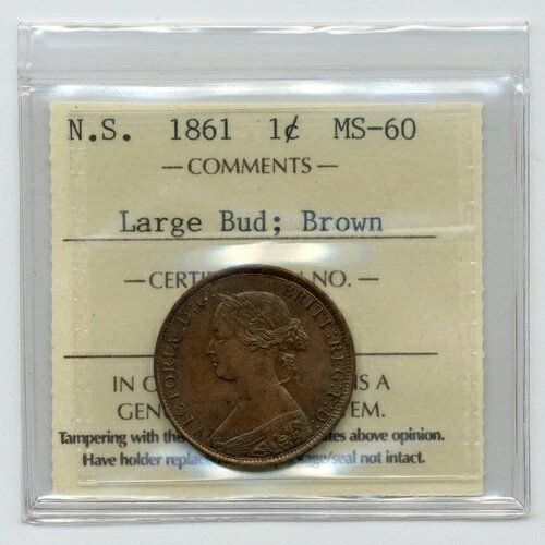 1861年 ノバスコシア州 1セント、ビクトリア、大きなバラのつぼみ - ICCS MS 60 BN