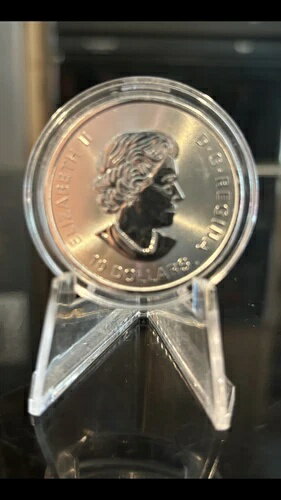 WORLD RESOURCE【KING店】の2019年 2オンス .9999 銀貨 カナダ産 シャチ クジラ $10 BU カプセル入り｜アングル2