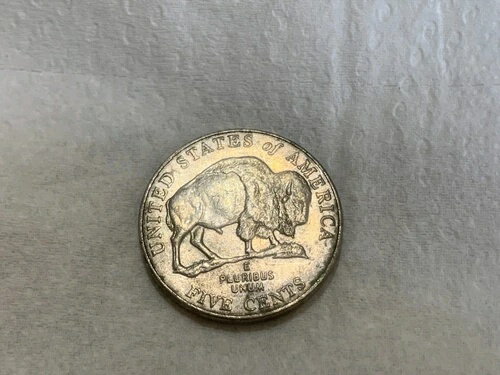 WORLD RESOURCE【KING店】の2005年 Dミントレアバッファロー5セント｜アングル2