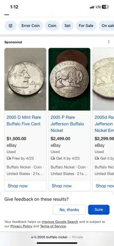 WORLD RESOURCE【KING店】の2005年 Dミントレアバッファロー5セント｜アングル3