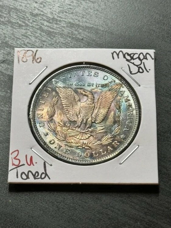 1896ǯ P ⡼ С 顼 BU ̤ή MS+ ȡ ȡ˥  (Raw10214)