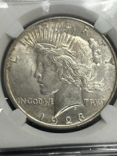 1923年 D ピースダラー - 表面ダイク