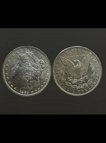 1889年 モルガン銀貨 1ドル ミントステート MS - 実物写真 - フィルターなし