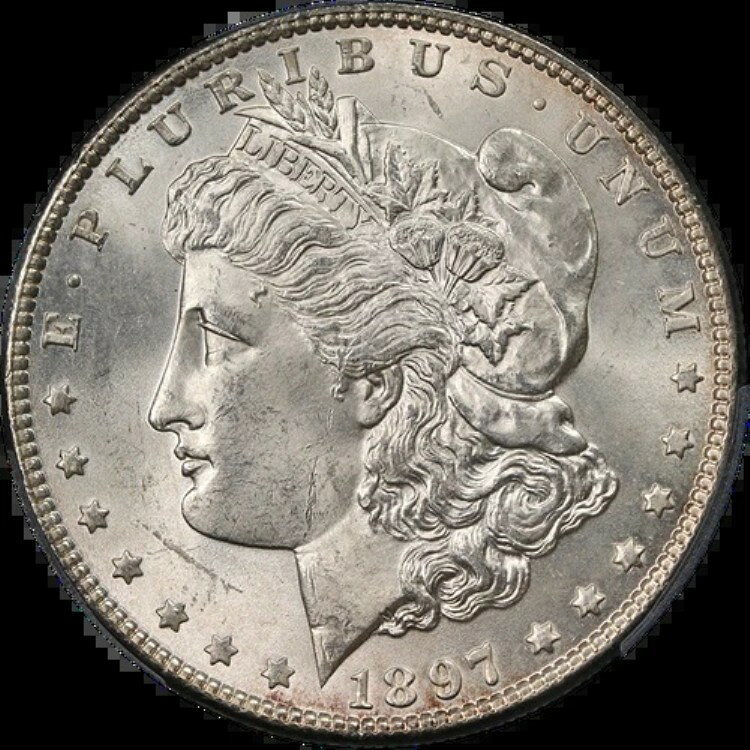 1897-P モルガン銀貨 PCGS MS65 VAM 6A ピ