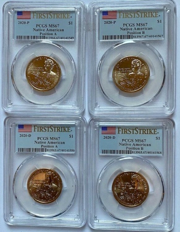 2020年 P&D ネイティブ サカガウィア 