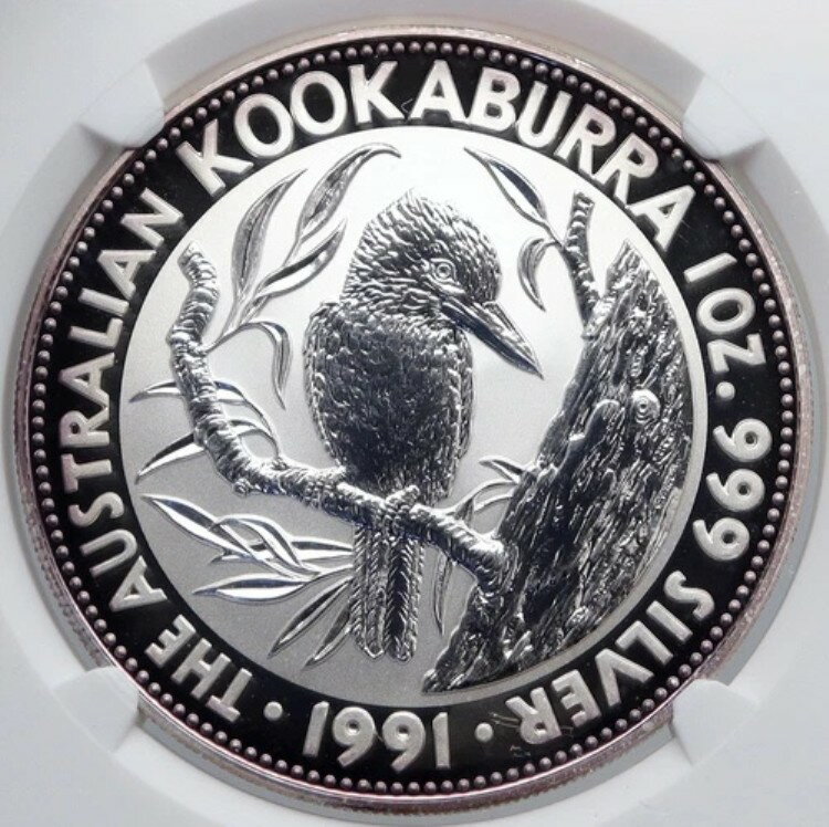 1991年 オーストラリア ワライカワセミ 鳥 木 銀貨 5ドル オーストラリアコイン NGC i89276