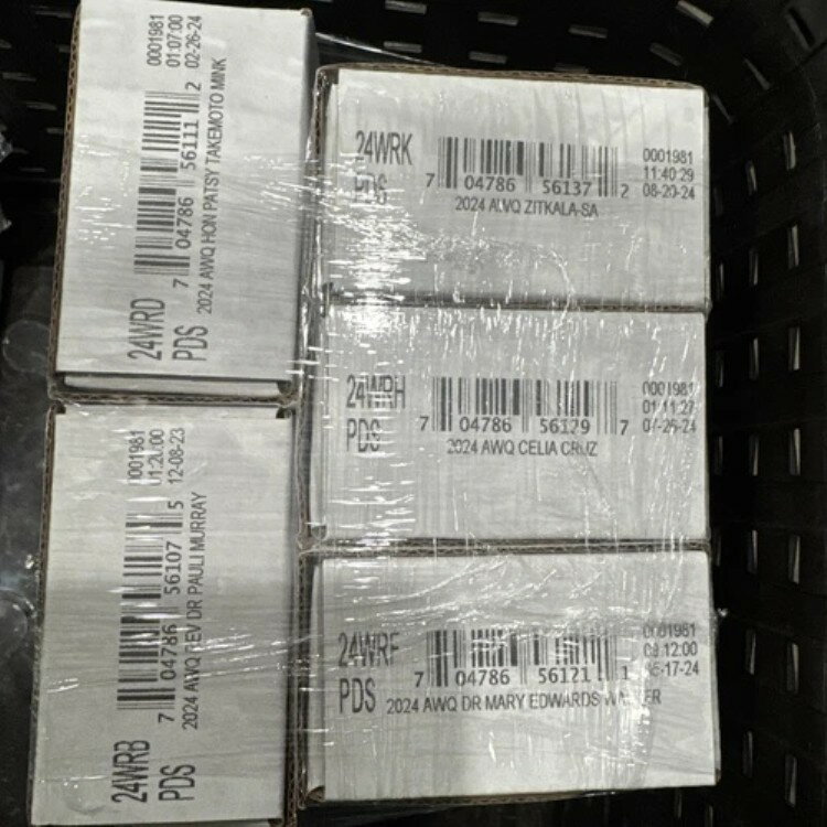 2024ǯꥫ󥦥󥺥3PDSꥸʥ̤å