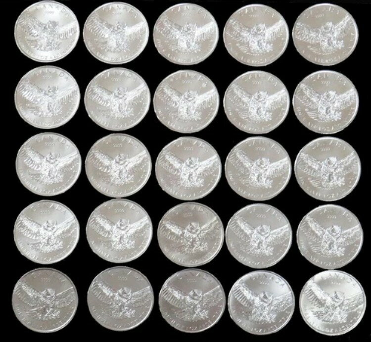 2015年 シルバー カナダロール (25) アメリカワシミミズク 5ドル 野生動物チョイス ミントステートコイン