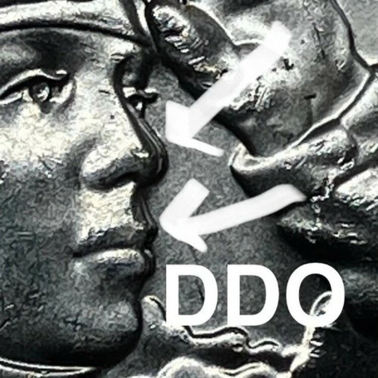 2023-D 쥢 顼 DDO/DDR ٥åޥ /եƥ/ꥫ󡦥