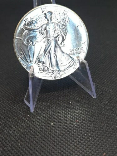 1987年アメリカン・シルバー・イー