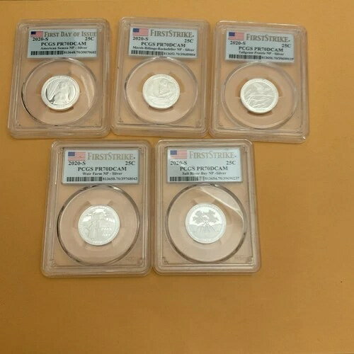 2020年 S ファーストストライク シル