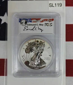 2013年 W シルバー イーグル リバース