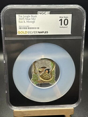 2025ǯ ˥ ǥˡ 󥰥֥å ⡼ 1 С NGC X MS10