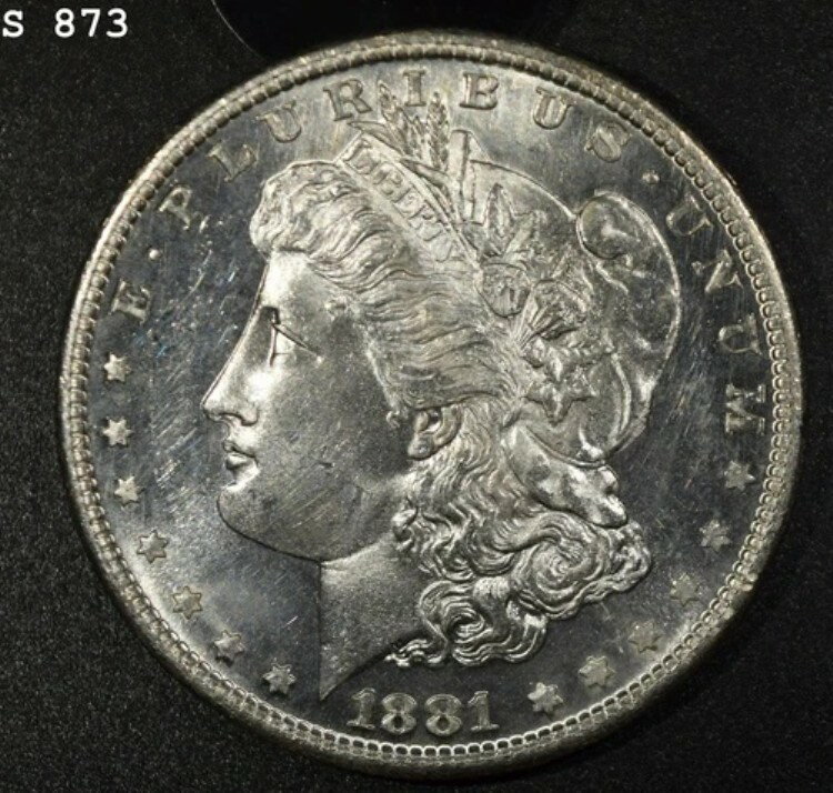 1881-S モルガン銀貨「VCH BU DMPL」*1点目以降は送料無料*