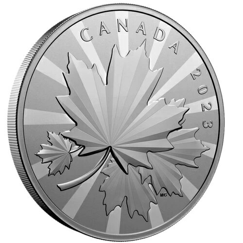 ???? ʥ 250 ɥ  (1 kg)  99.99% ? ¿Ūʥ᡼ץ롢2023 ǯ