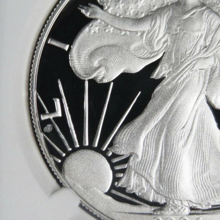 WORLD RESOURCE【KING店】の2024-W プルーフ 1ドル アメリカン シルバー イーグル NGC PF69UC ミントエラー ブラウンラベル｜アングル3