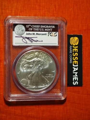 2011年 W バーニッシュド シルバー イ